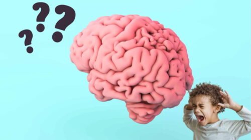 A imaturidade do cérebro infantil - Jornal O São Paulo