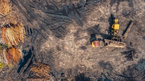 CNBB e organismos eclesiais criticam alterações nas regras de licenciamento ambiental - Jornal O São Paulo