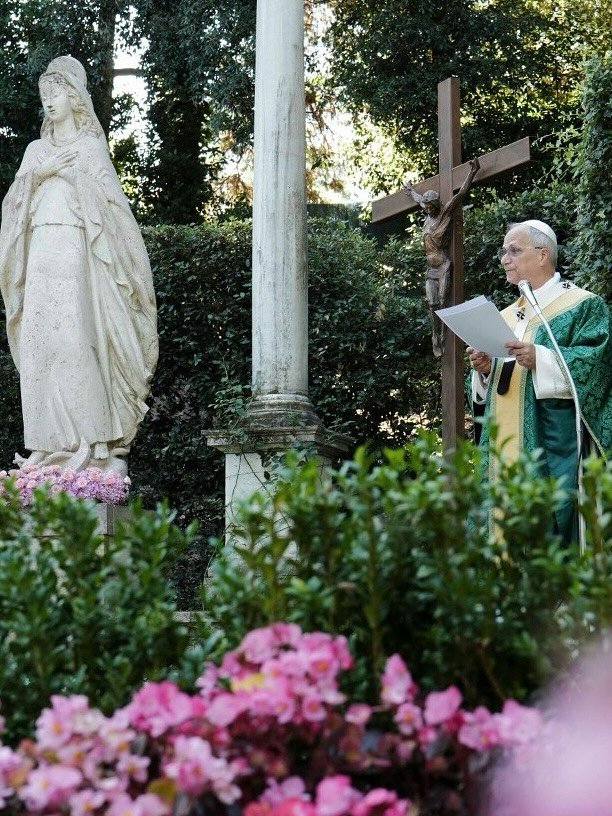 Em mensagem pelo Dia do Cuidado da Criação, Papa fala da urgência da justiça ambiental - Jornal O São Paulo