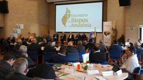 Leão XIV: que Jesus seja anunciado com clareza e caridade na Amazônia - Jornal O São Paulo