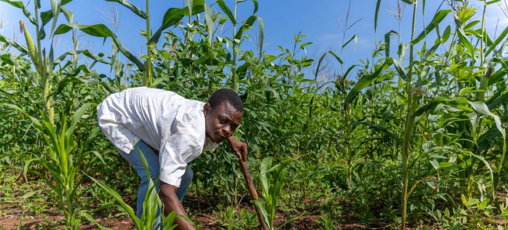 Do mar ao solo: um pescador se reiventa em meio à crise no norte de Moçambique - Jornal O São Paulo