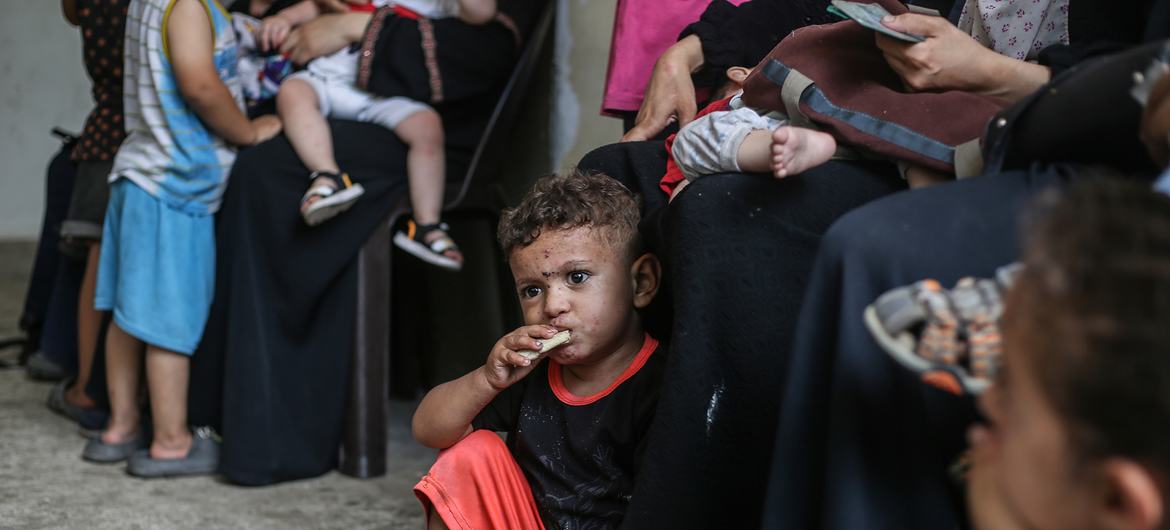 Gaza está afundando cada vez mais em um desastre, diz representante da ONU - Jornal O São Paulo