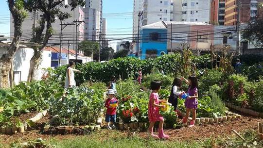 Prefeitura promove aulas gratuitas sobre criação e cultivo de hortas - Jornal O São Paulo
