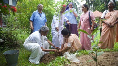 Bangladesh: Laudato si’ inspira o plantio de 1 milhão de árvore - Jornal O São Paulo