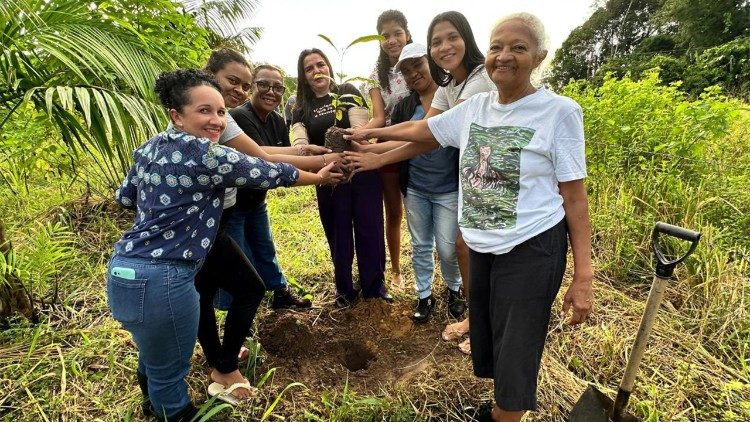 Amazônia: Guardiões da Sociobiodiversidade ao lado de quilombolas - Jornal O São Paulo