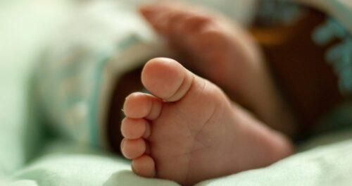 Defender a vida sempre: CNBB manifesta preocupação com decisões judiciais sobre o aborto - Jornal O São Paulo