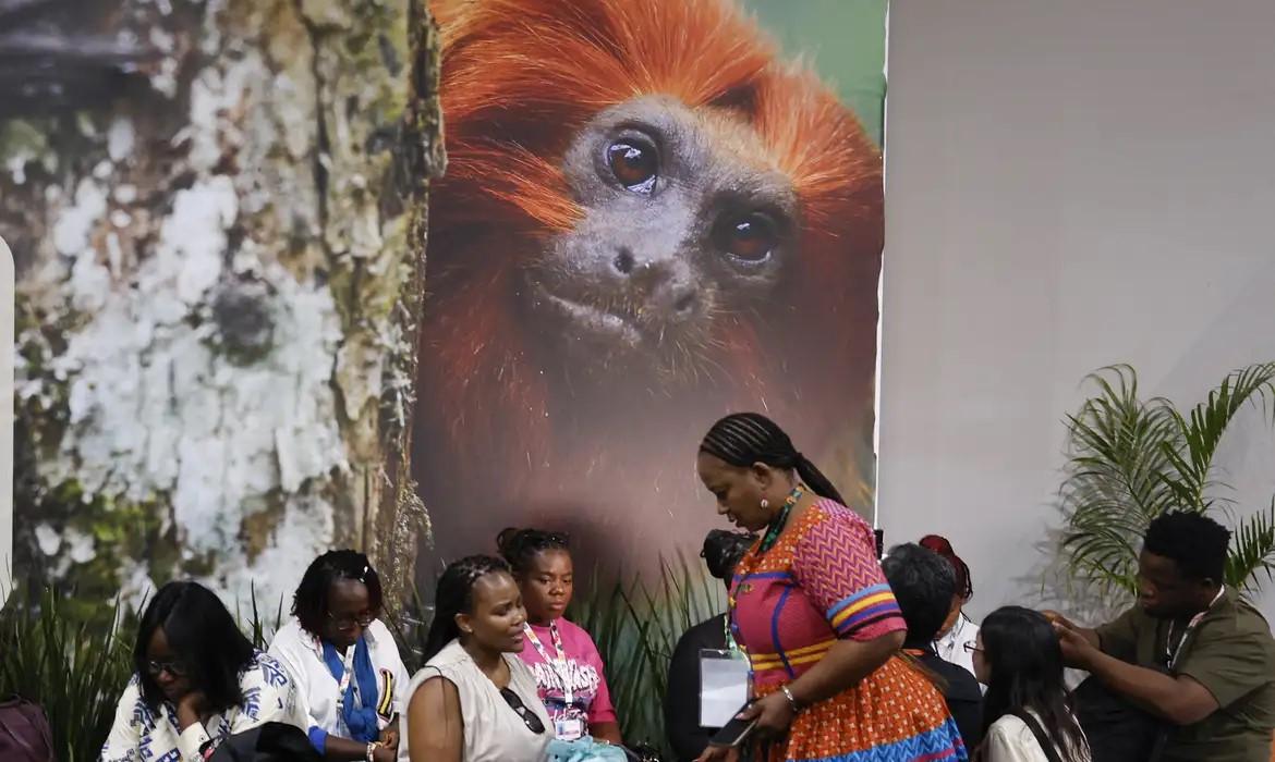 COP30: financiamento, transição e adaptação são centro das negociações - Jornal O São Paulo