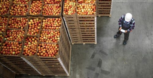 Trump retira tarifa de 40% sobre produtos do Brasil como café e carne - Jornal O São Paulo