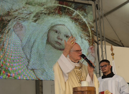 ‘O Filho de Deus veio ao nosso encontro para nos dar coragem’ - Jornal O São Paulo