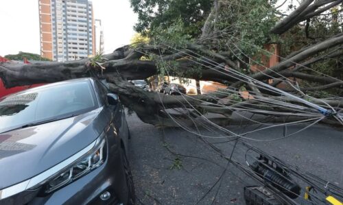 Cinco dias após ciclone, 30 mil clientes estão sem energia em SP - Jornal O São Paulo