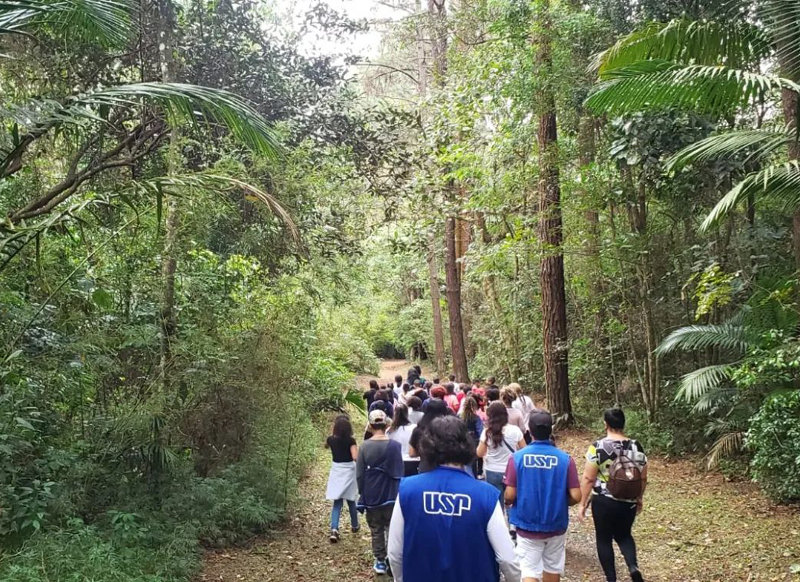 Parque de Ciência e Tecnologia oferece atividades interativas e gratuitas para toda a família nas férias - Jornal O São Paulo