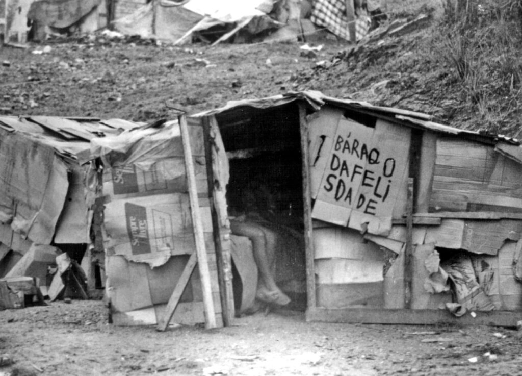 IBGE lança site dedicado à memória e à história do Instituto - Jornal O São Paulo