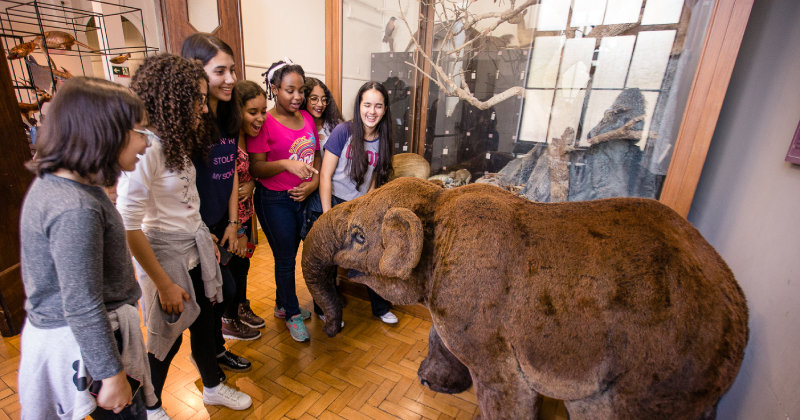 Museus e parques da USP oferecem experiências lúdicas e educativas nas férias de janeiro - Jornal O São Paulo
