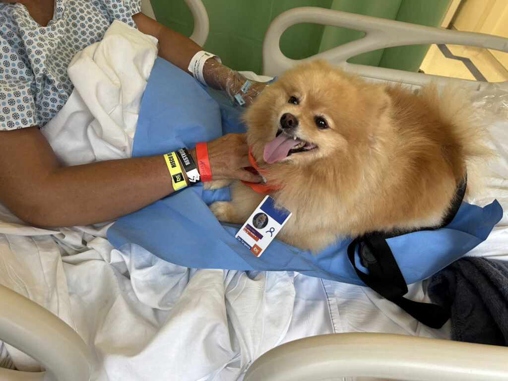 Quando a alegria e o afeto ‘contagiam’ os hospitais - Jornal O São Paulo