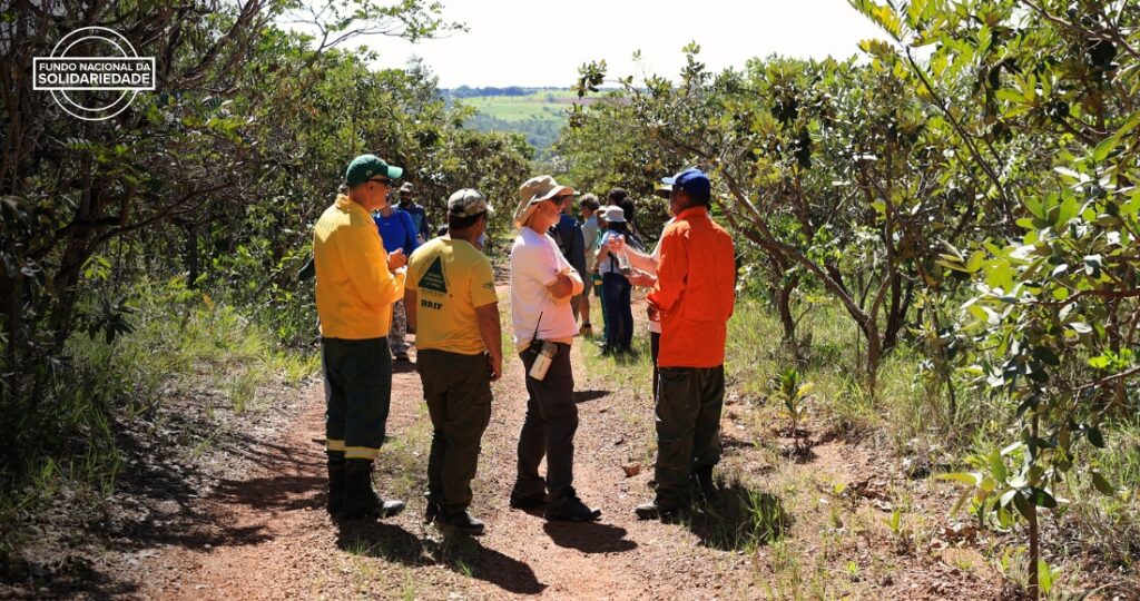 Série “Fraternidade em Ação” é relançada e apresenta projetos apoiados pelo Fundo Nacional de Solidariedade (FNS) em 2025 - Jornal O São Paulo