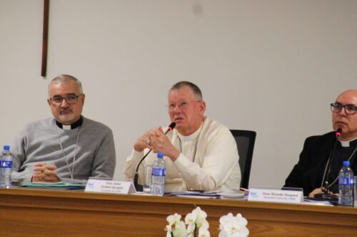 Consep dá continuidade à reunião com partilha das Comissões e planejamento pastoral para 2026 e 2027