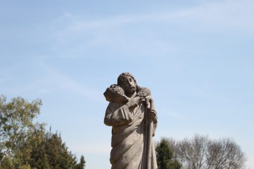 ‘Minhas ovelhas escutam a minha voz’ - Jornal O São Paulo